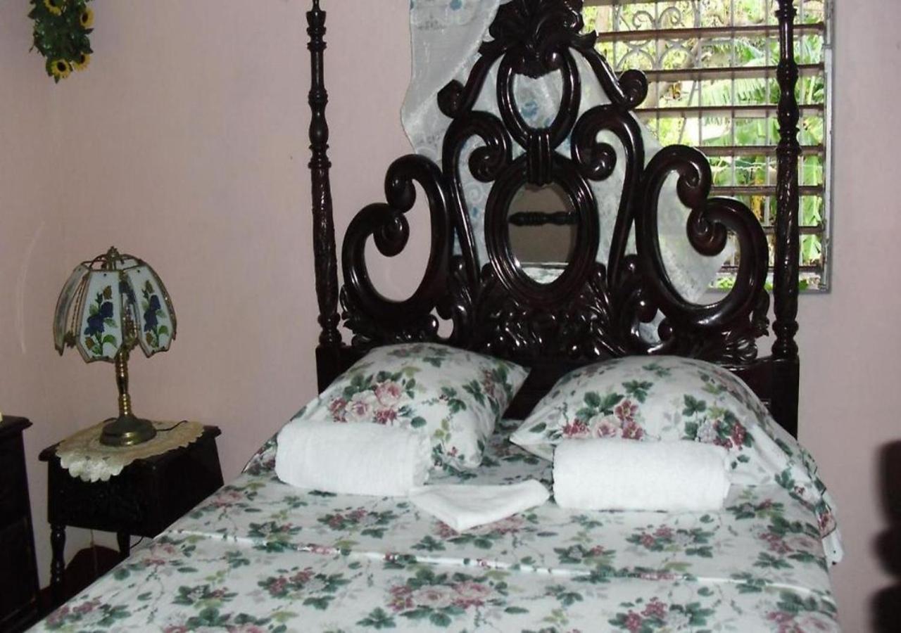 Kingston Airport Bed And Breakfast Dış mekan fotoğraf