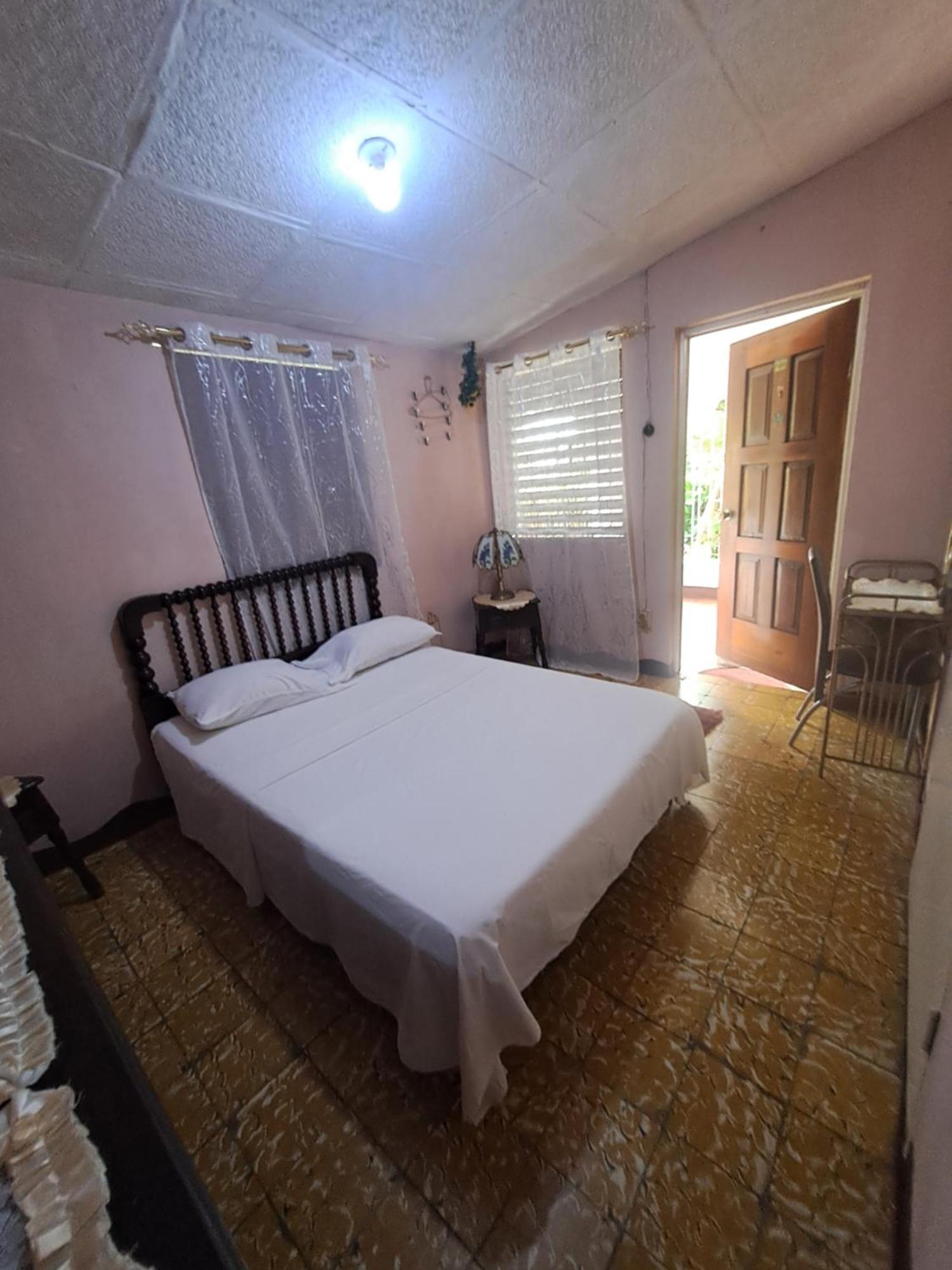 Kingston Airport Bed And Breakfast Dış mekan fotoğraf